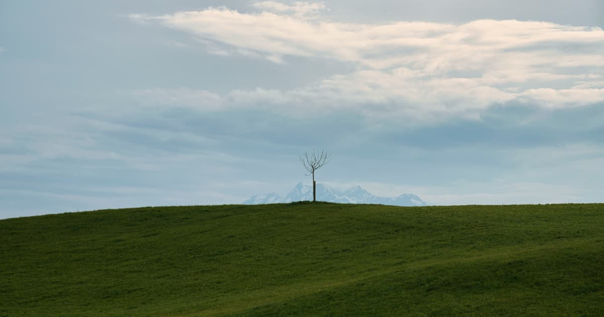 Virginia Organizations Expand Milk Dispenser Grant Funding to $155,000 for School Cafeterias