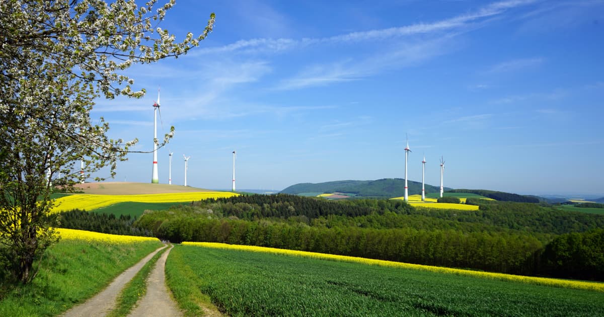 Melbourne Renovation Company Integrates Sustainable Solutions to Meet Growing Demand for Eco-Friendly Home Improvements